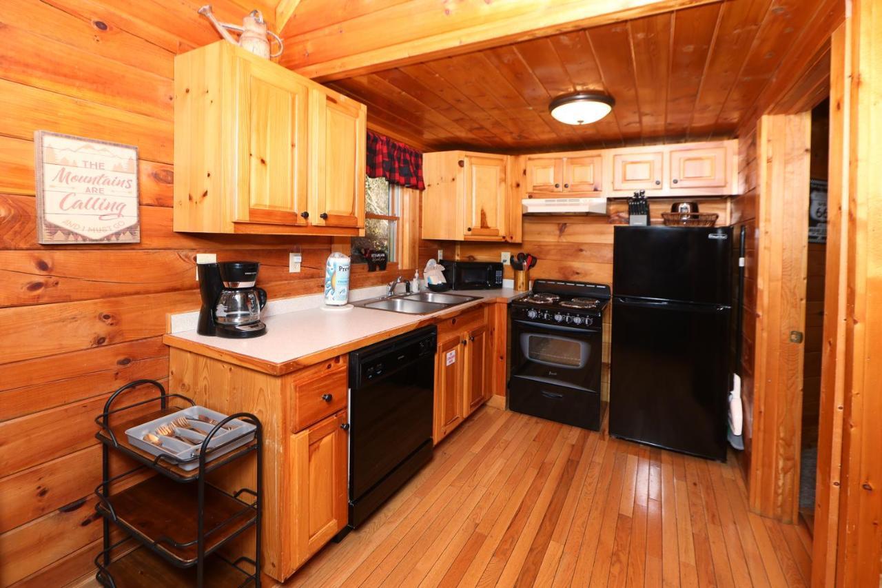 Eagle'S Ridge Villa Sevierville Dış mekan fotoğraf