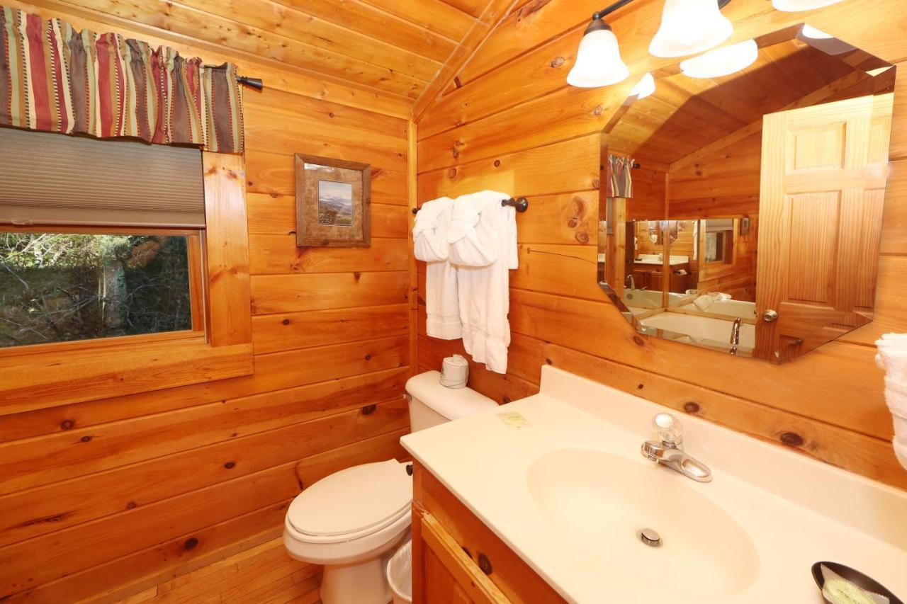 Eagle'S Ridge Villa Sevierville Dış mekan fotoğraf