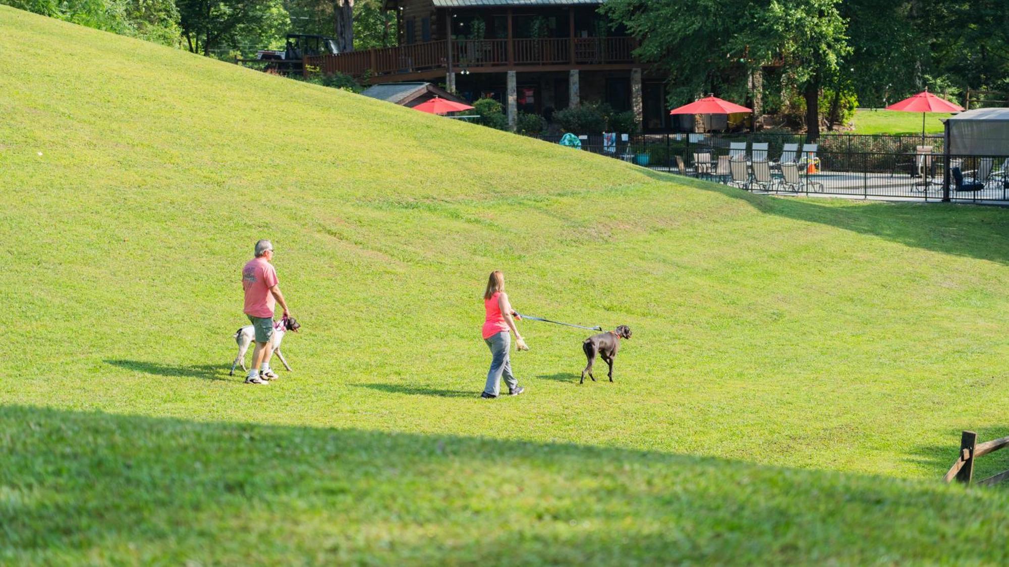 Eagle'S Ridge Villa Sevierville Dış mekan fotoğraf